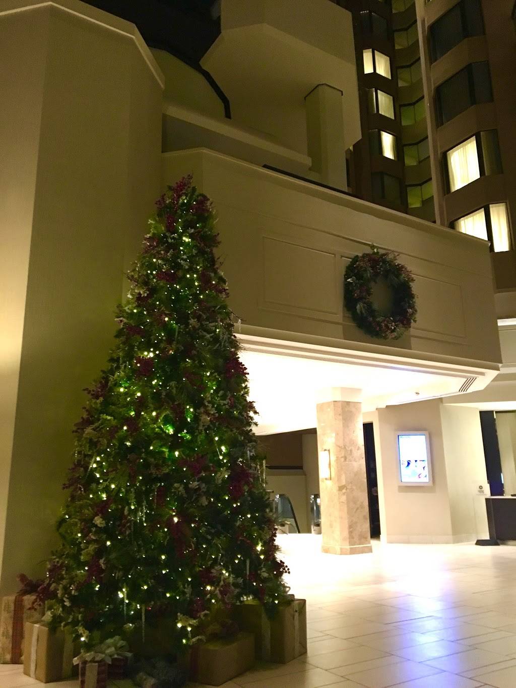 The Westin Washington, D.C. City Center Fringetree Restaurant | restaurant | 1400 M St NW, Washington, DC 20005, USA | 2024291700 OR +1 202-429-1700