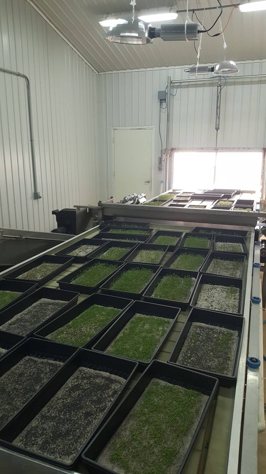 Legacy Bistro | restaurant | 30424 Mt Vernon Rd, Princess Anne, MD 21853, USA | 4106510800 OR +1 410-651-0800