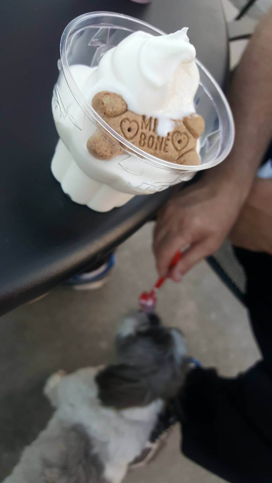 Dairy Queen Grill & Chill | restaurant | 206 W Jackson Blvd, Elkhart, IN 46516, USA | 5742941789 OR +1 574-294-1789