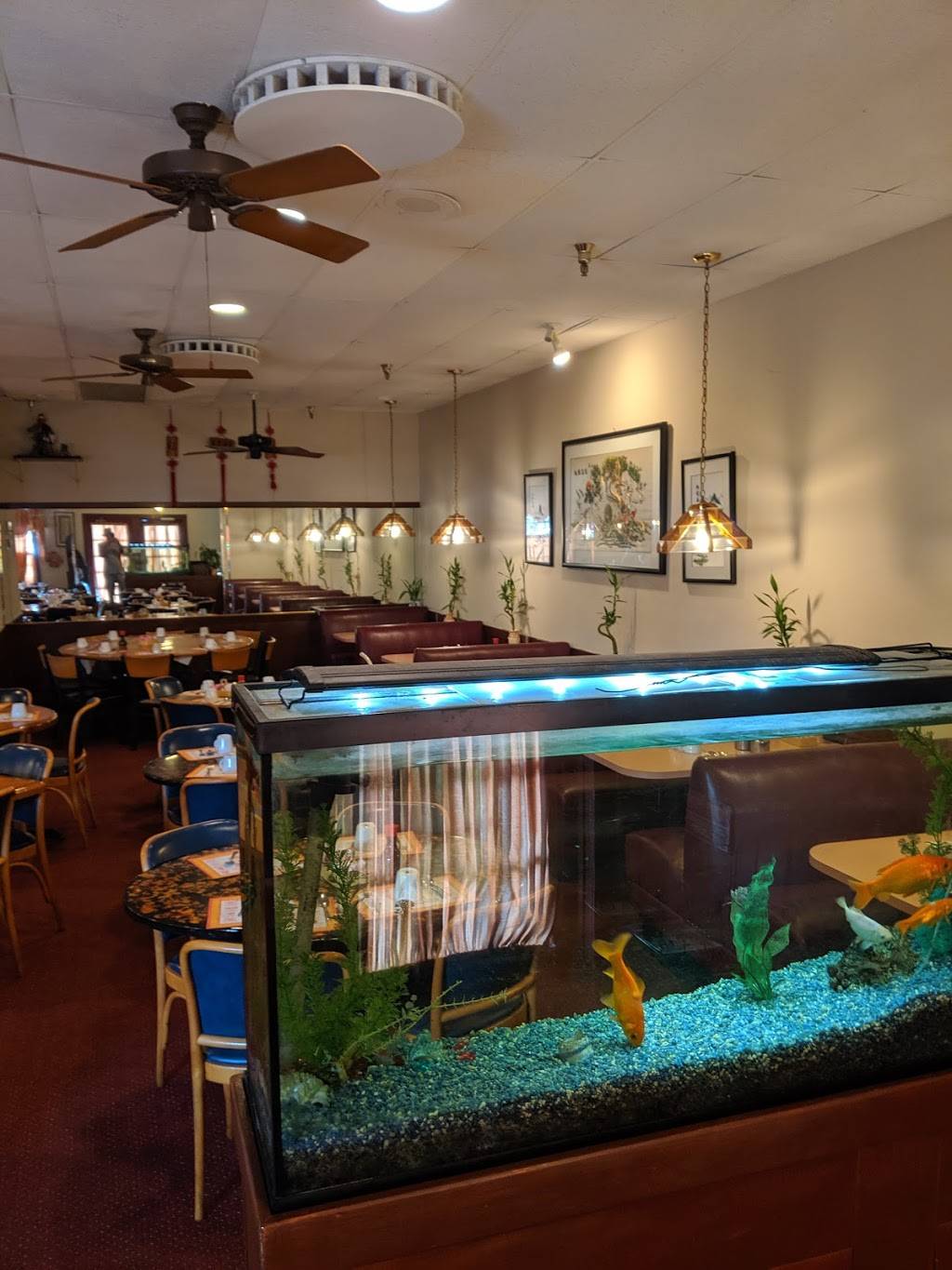 Bird Nest Tree | restaurant | 14545 S Military Trail, Delray Beach, FL 33484, USA | 5614988116 OR +1 561-498-8116