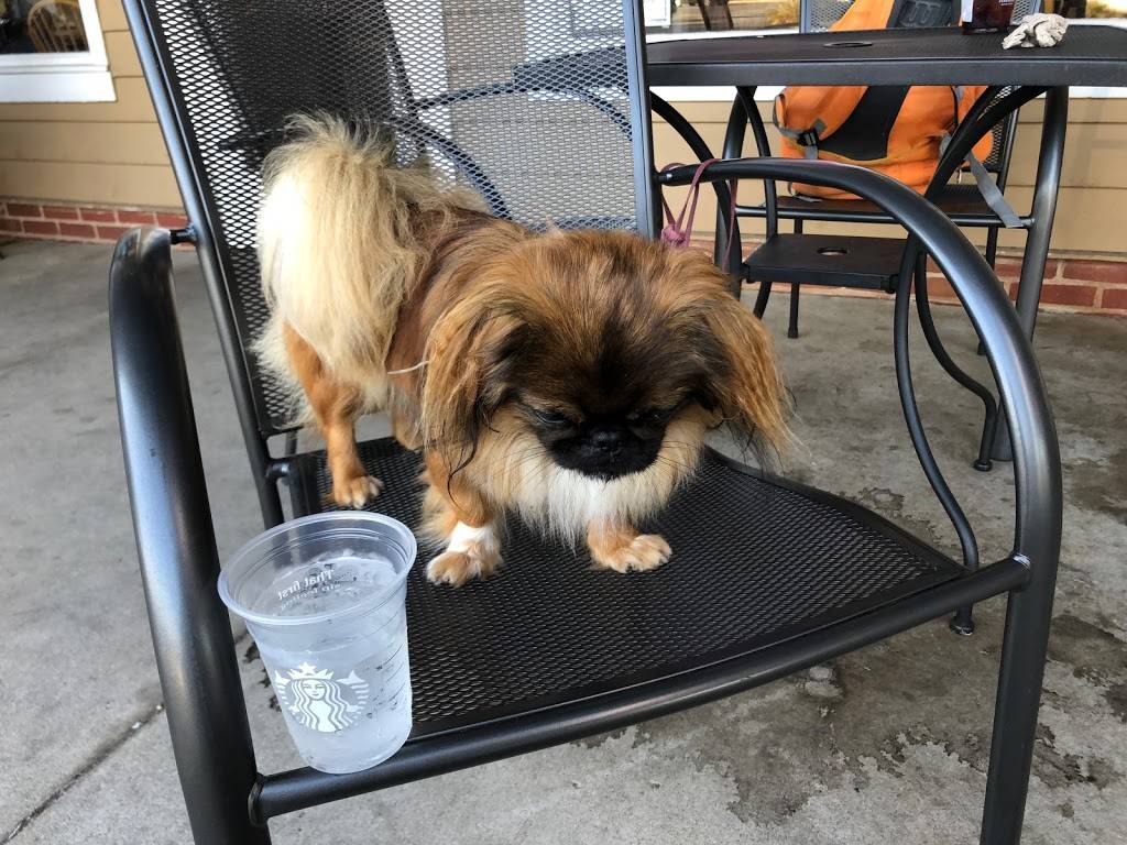 Starbucks | cafe | 5623 Stone Rd, Centreville, VA 20120, USA | 7035024845 OR +1 703-502-4845