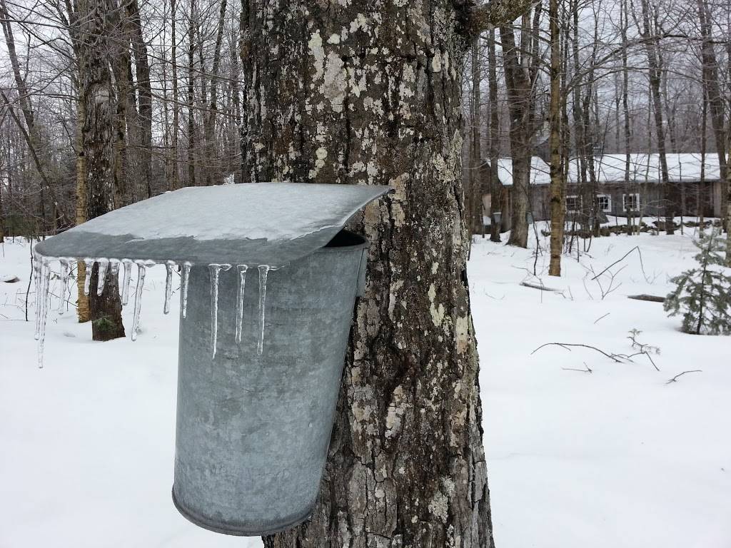 Cabane à Sucre Bellavance inc. | restaurant | 733 Chemin Bellavance, Sainte-Cécile-de-Whitton, QC G0Y 1J0, Canada | 8195830441 OR +1 819-583-0441