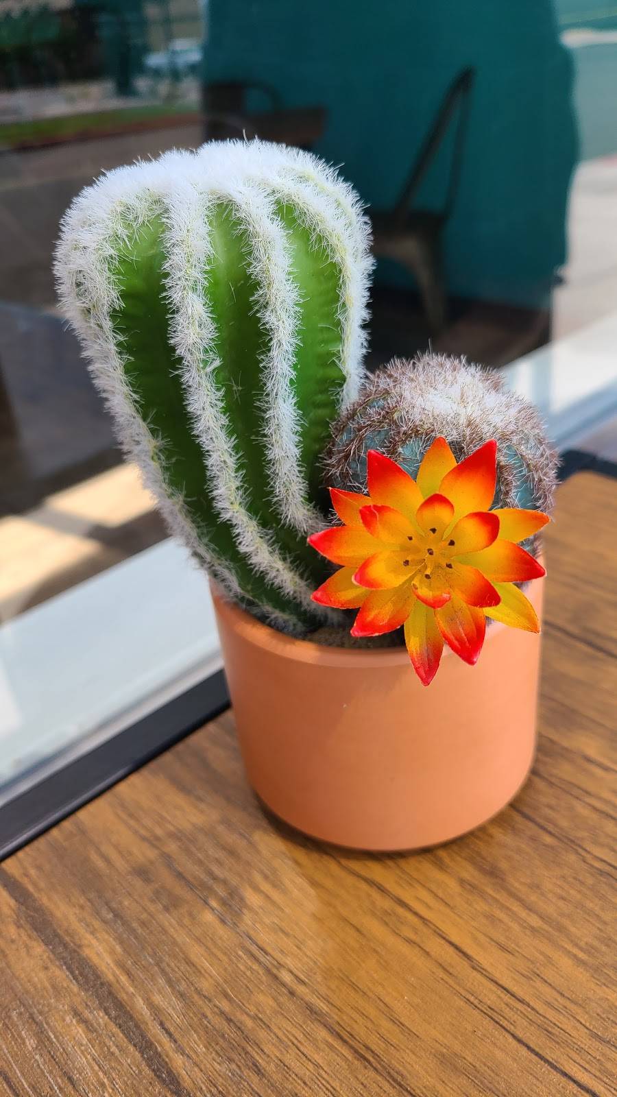 Annas Taqueria | restaurant | 271 Wonder St, Reno, NV 89502, USA | 7753843712 OR +1 775-384-3712