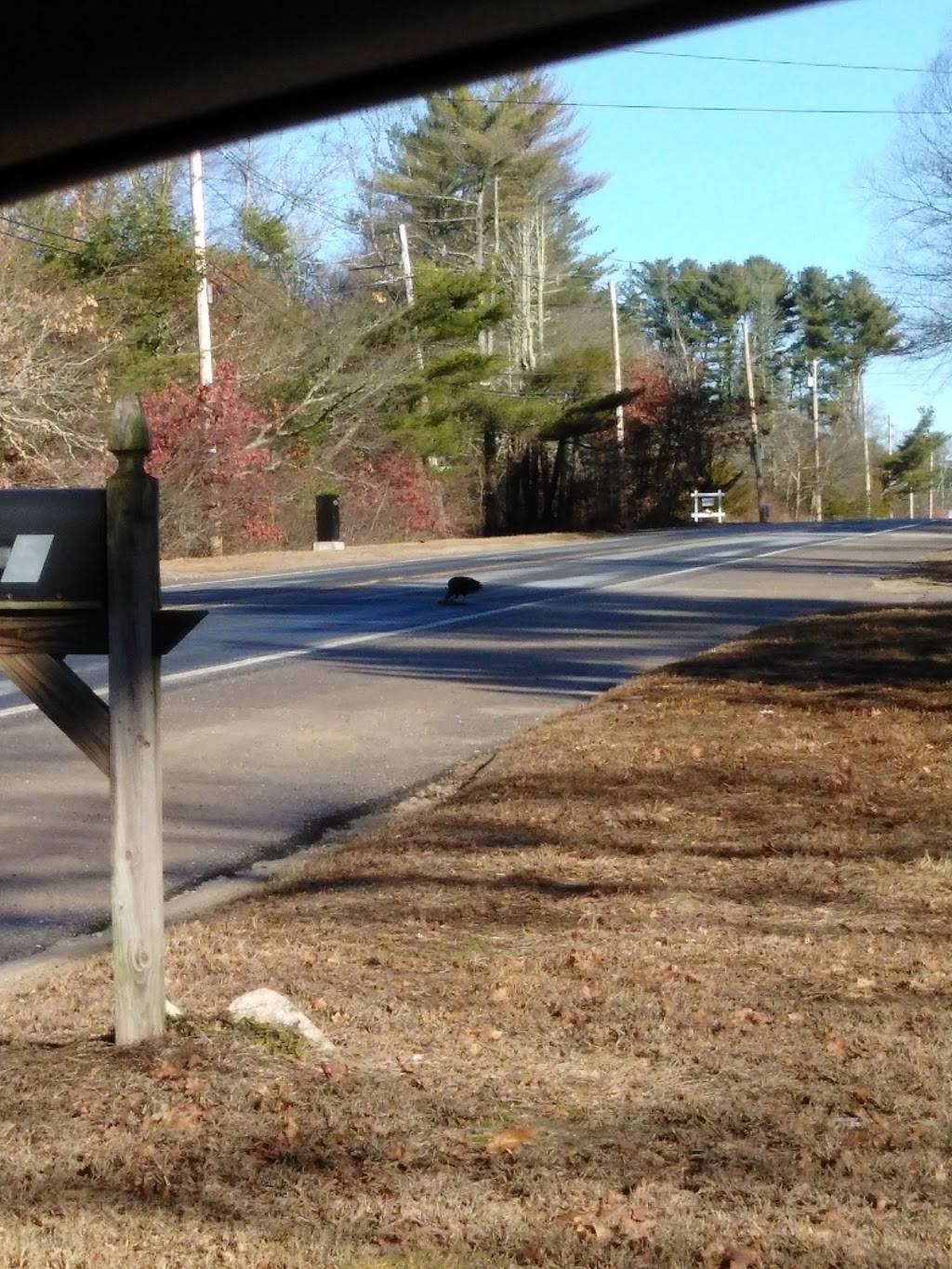 Rippys Liquor & Marketplace | meal takeaway | 4158 S County Trail, Charlestown, RI 02813, USA | 4013646711 OR +1 401-364-6711