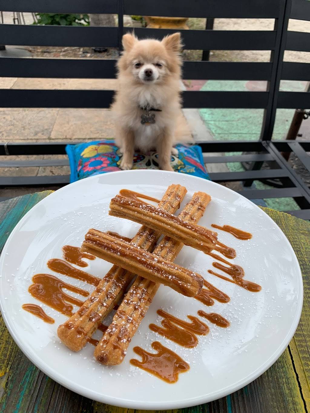 La Mexicana Taco Bar | restaurant | 2430 NE 13th Ave, Wilton Manors, FL 33305, USA | 7547015977 OR +1 754-701-5977