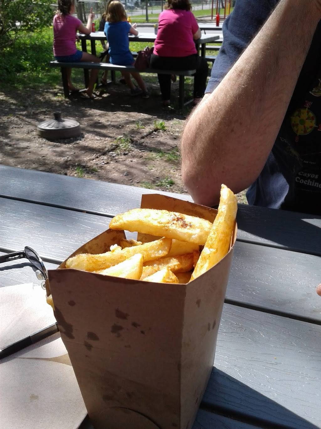 Fitzs Fries | restaurant | 1088 Bridge St, Manotick, ON K4M 1J2, Canada | 6138833743 OR +1 613-883-3743