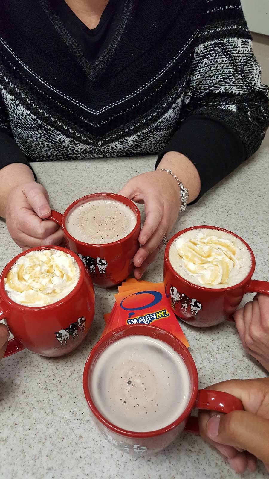 Oberweis Ice Cream and Dairy Store | restaurant | 11310, 12 W Lincoln Hwy, Mokena, IL 60448, USA | 8158063045 OR +1 815-806-3045