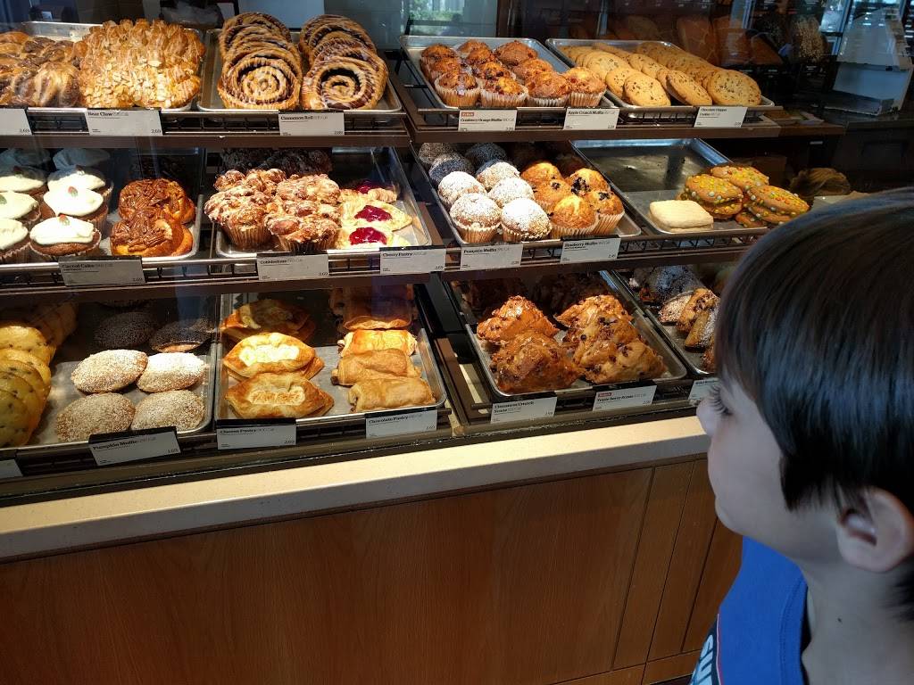 Panera Bread | bakery | 1830 NE Pine Island Rd, Cape Coral, FL 33909, USA | 2394584162 OR +1 239-458-4162