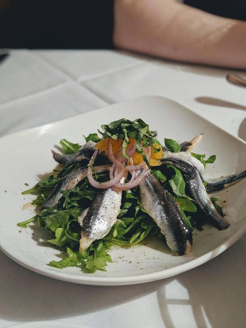 Vivace | restaurant | 2244 Ivy Rd, Charlottesville, VA 22903, USA | 4349790994 OR +1 434-979-0994