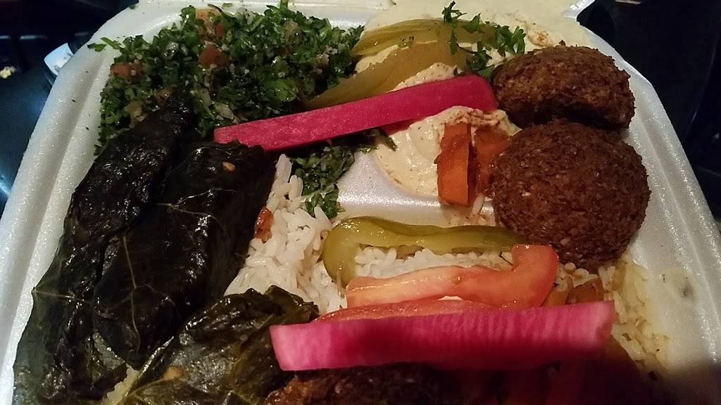 Shish Kabob Express | restaurant | 3118 Fairlane Drive, Allen Park, MI 48101, USA | 3139829030 OR +1 313-982-9030