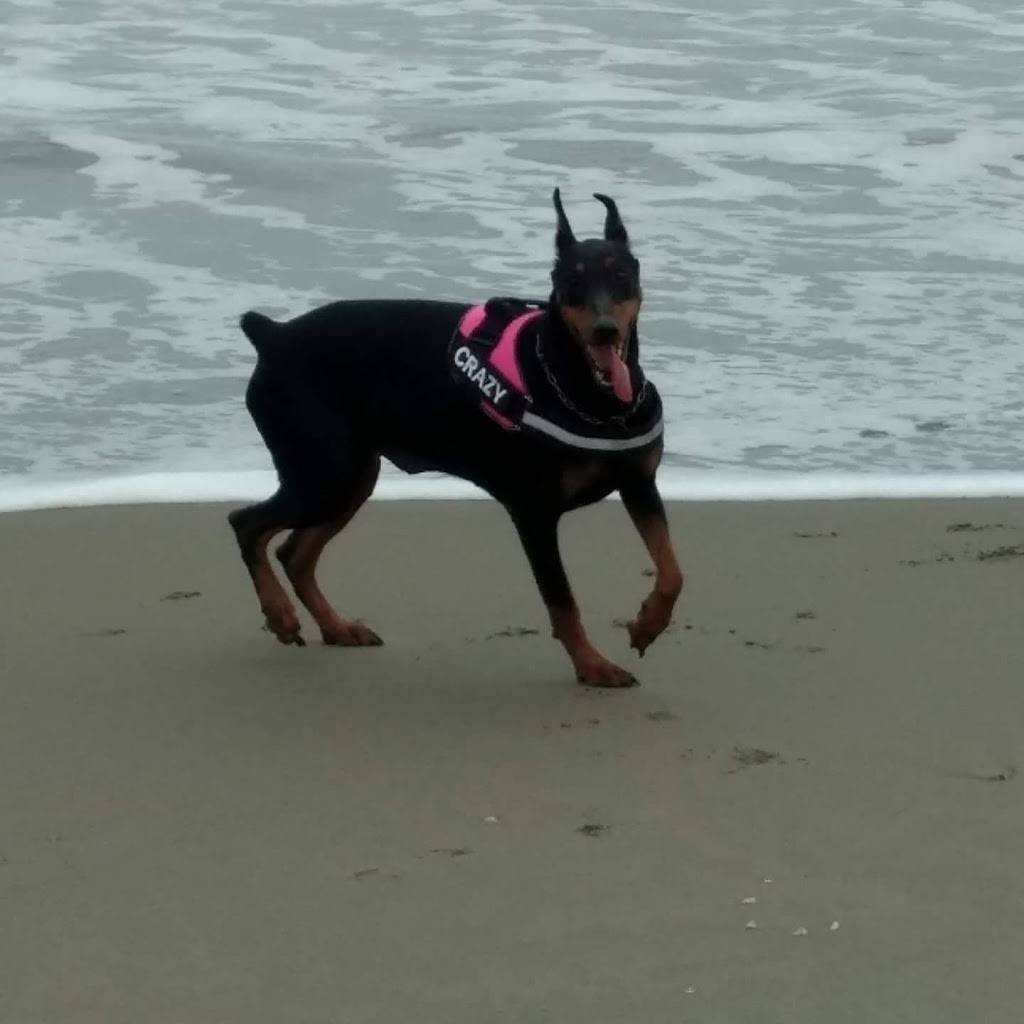 Taqueria Los Flacos | restaurant | 3818 W Lawrence Ave, Chicago, IL 60625, USA | 8728060025 OR +1 872-806-0025