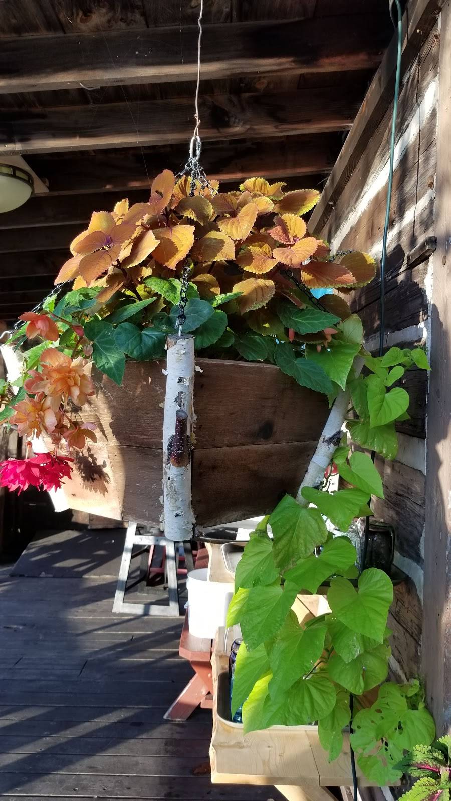 River Deck | restaurant | 15648 W County Road B, Hayward, WI 54843, USA | 7156345115 OR +1 715-634-5115