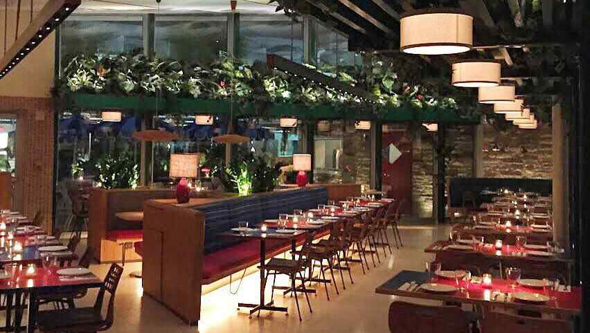 OLA Restaurant | restaurant | 2360 Collins Ave, Miami Beach, FL 33139, USA | 3056959125 OR +1 305-695-9125