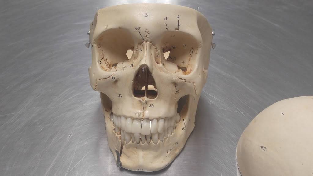 Jimmy Johns | meal delivery | 4919 Brownsboro Rd #101, Louisville, KY 40222, USA | 5024252195 OR +1 502-425-2195