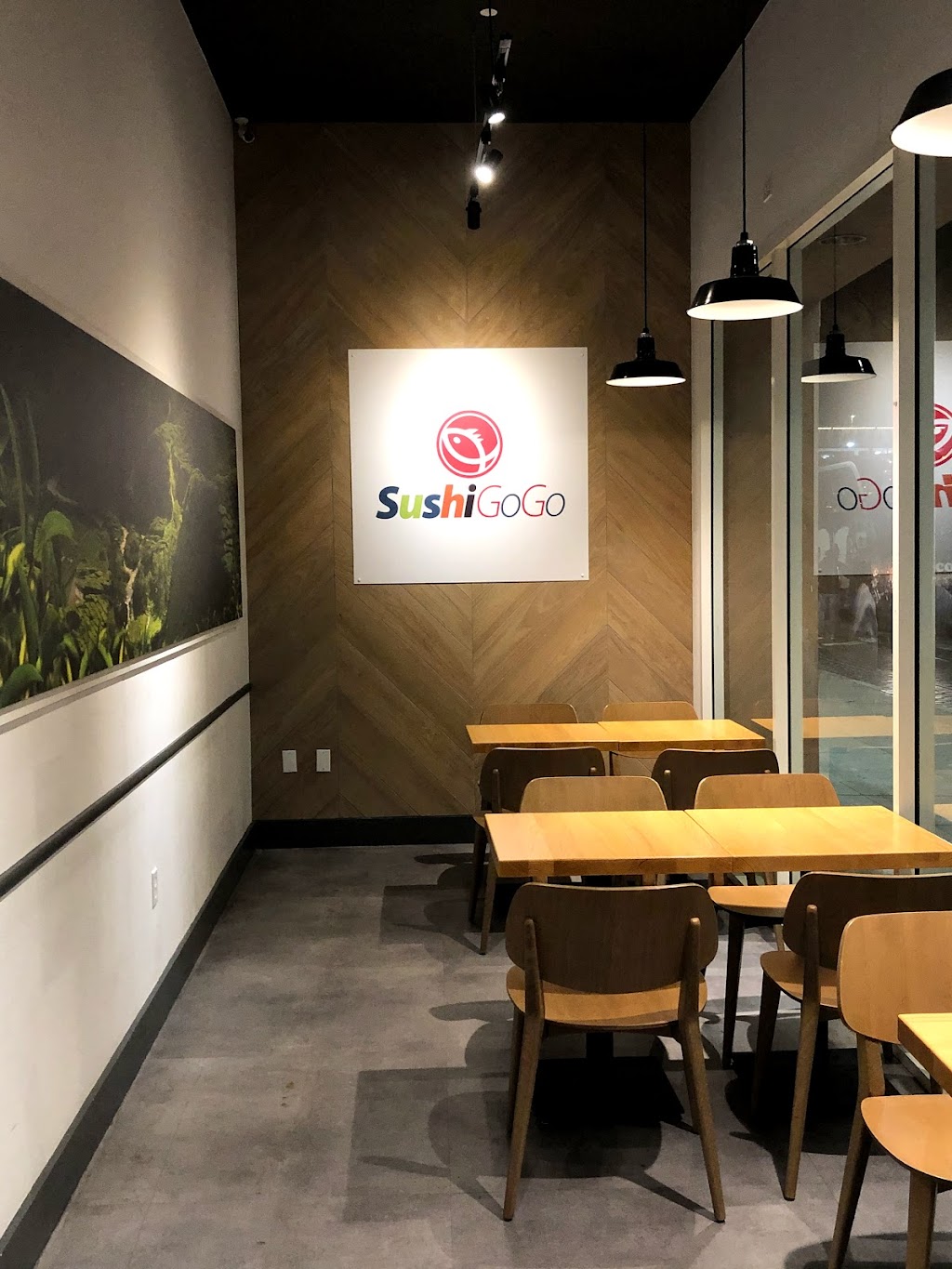 Sushi Go Go | restaurant | 2699 Taylor St, San Francisco, CA 94133, USA | 4155192732 OR +1 415-519-2732
