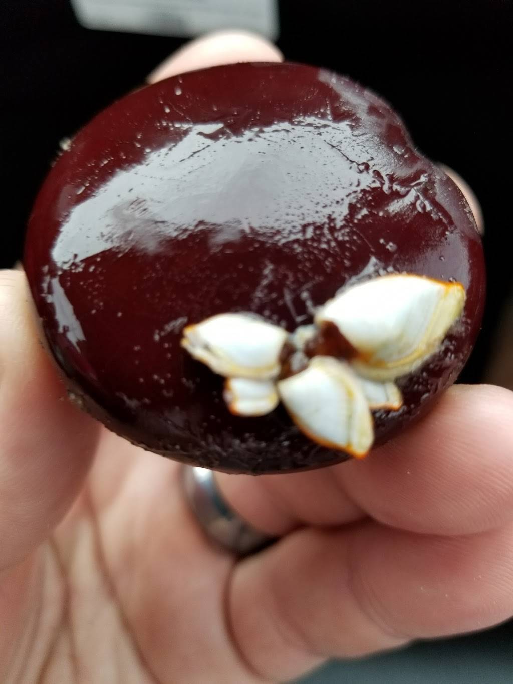 Subway Restaurants | restaurant | 16510 Termini-San Luis Pass Rd B, Galveston, TX 77554, USA | 4096322917 OR +1 409-632-2917