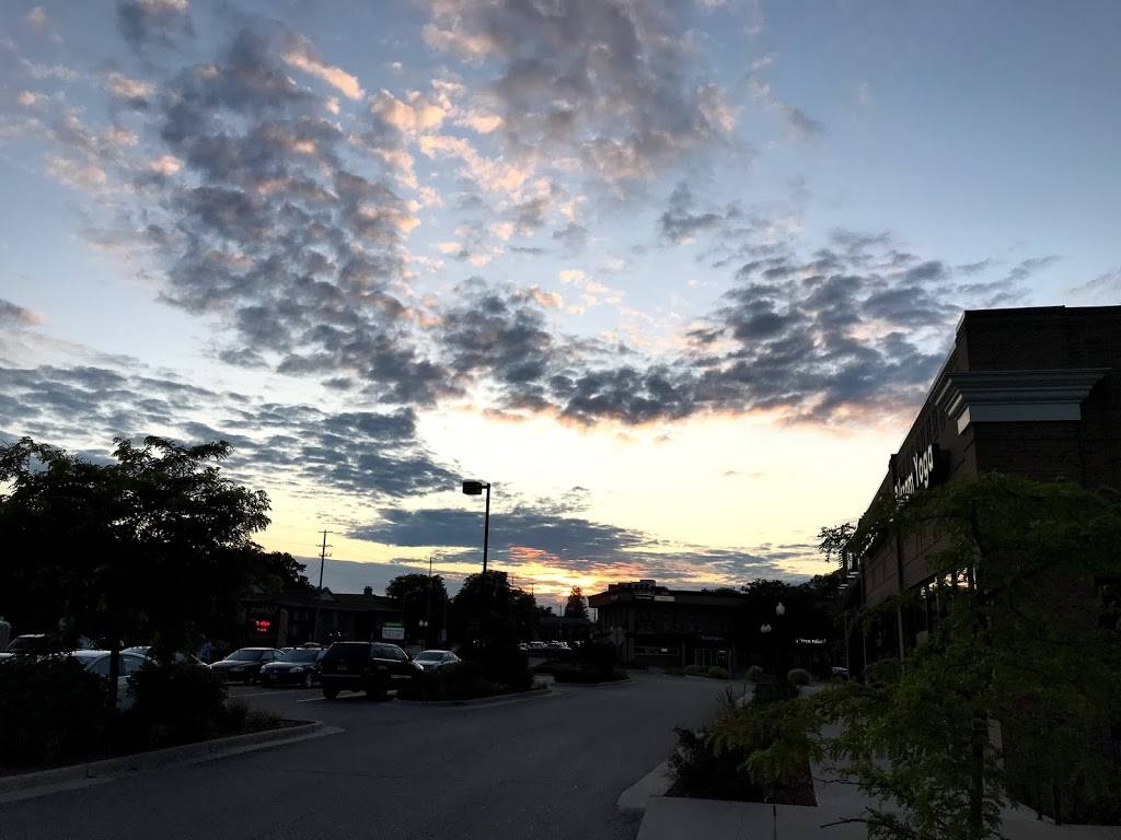 Brookfield Plaza | shopping mall | 1331 E Grand River Ave, East Lansing, MI 48823, USA | 5173323000 OR +1 517-332-3000