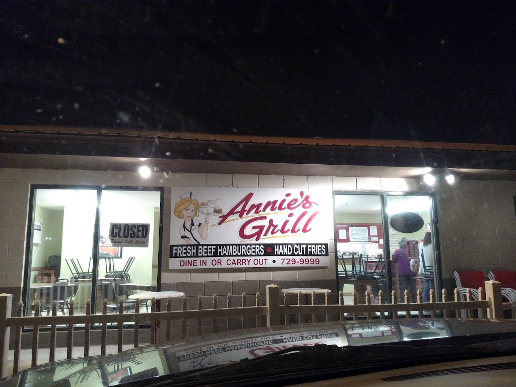 Annies Grill | restaurant | 903 MO-72, Salem, MO 65560, USA | 5737299999 OR +1 573-729-9999