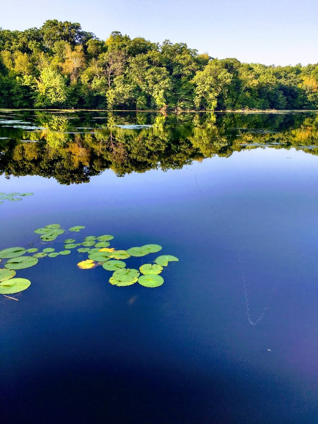 Lakeside Club | restaurant | 10 Old Wildwood Rd, Mahtomedi, MN 55115, USA | 6517774097 OR +1 651-777-4097