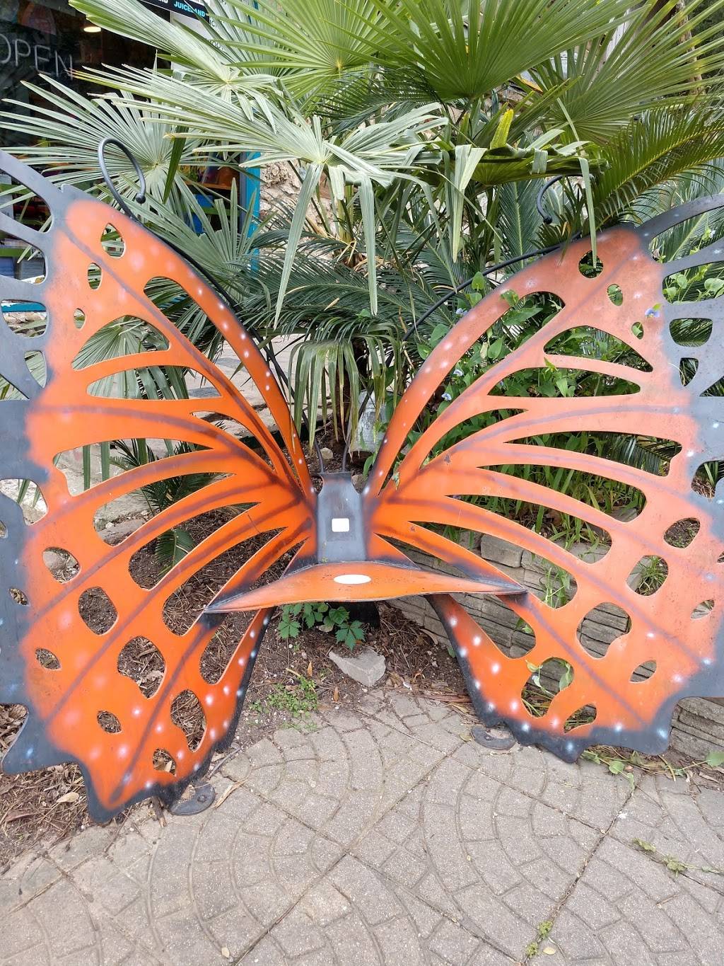 JuiceLand | restaurant | 1625 Barton Springs Rd, Austin, TX 78704, USA | 5124809501 OR +1 512-480-9501