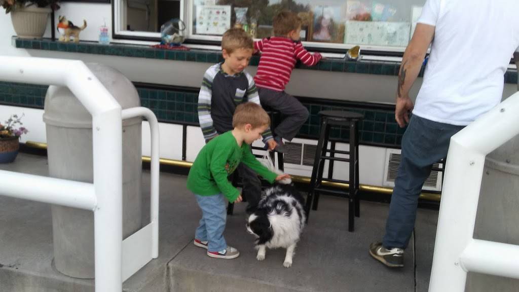 Designer Dogs Shoppe | restaurant | 6630 Brentwood Blvd, Brentwood, CA 94513, USA | 9255169906 OR +1 925-516-9906