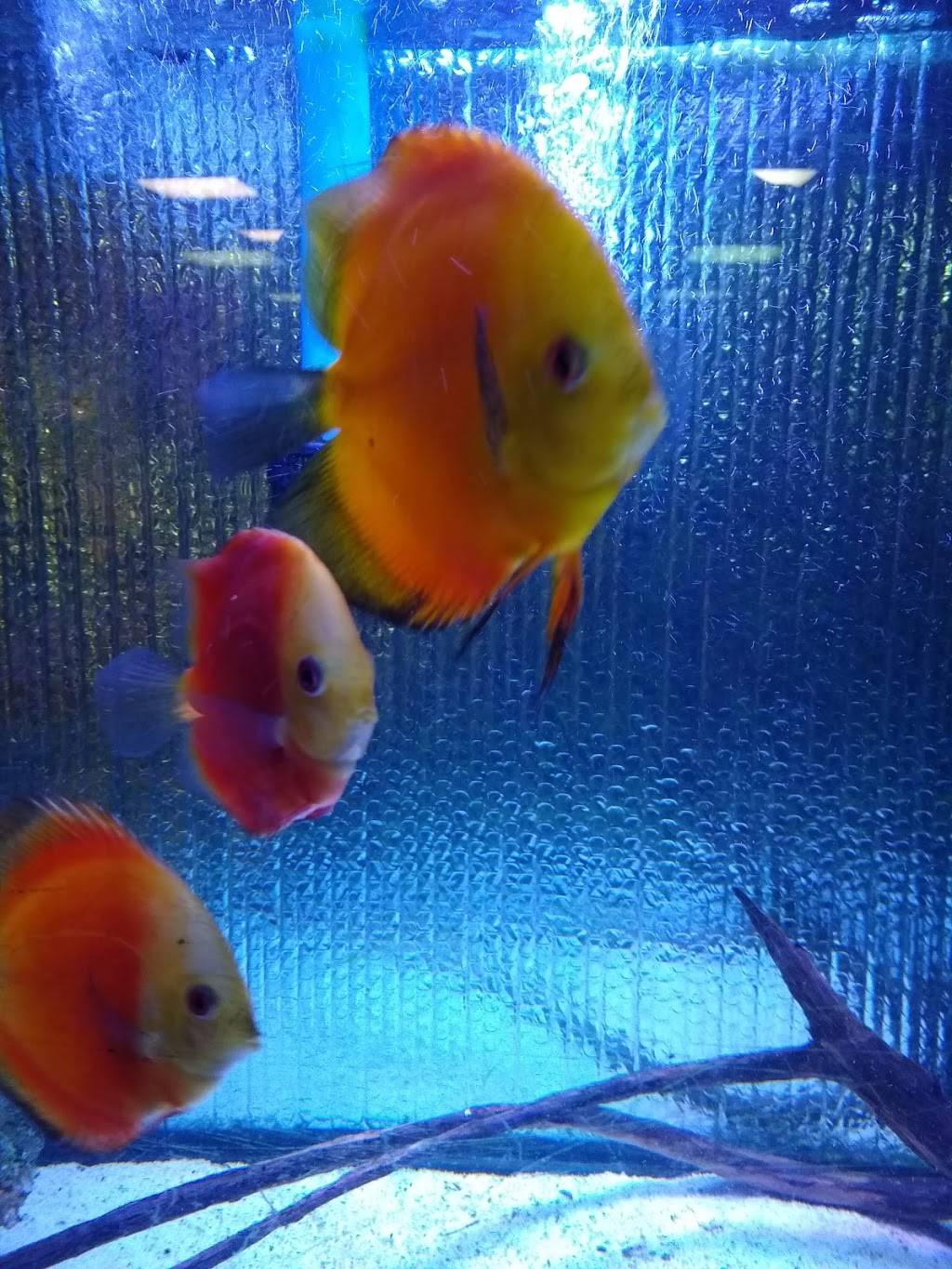 No. 1 Chinese Restaurant | meal delivery | 26 Queen City Ave, Manchester, NH 03103, USA | 6032327552 OR +1 603-232-7552