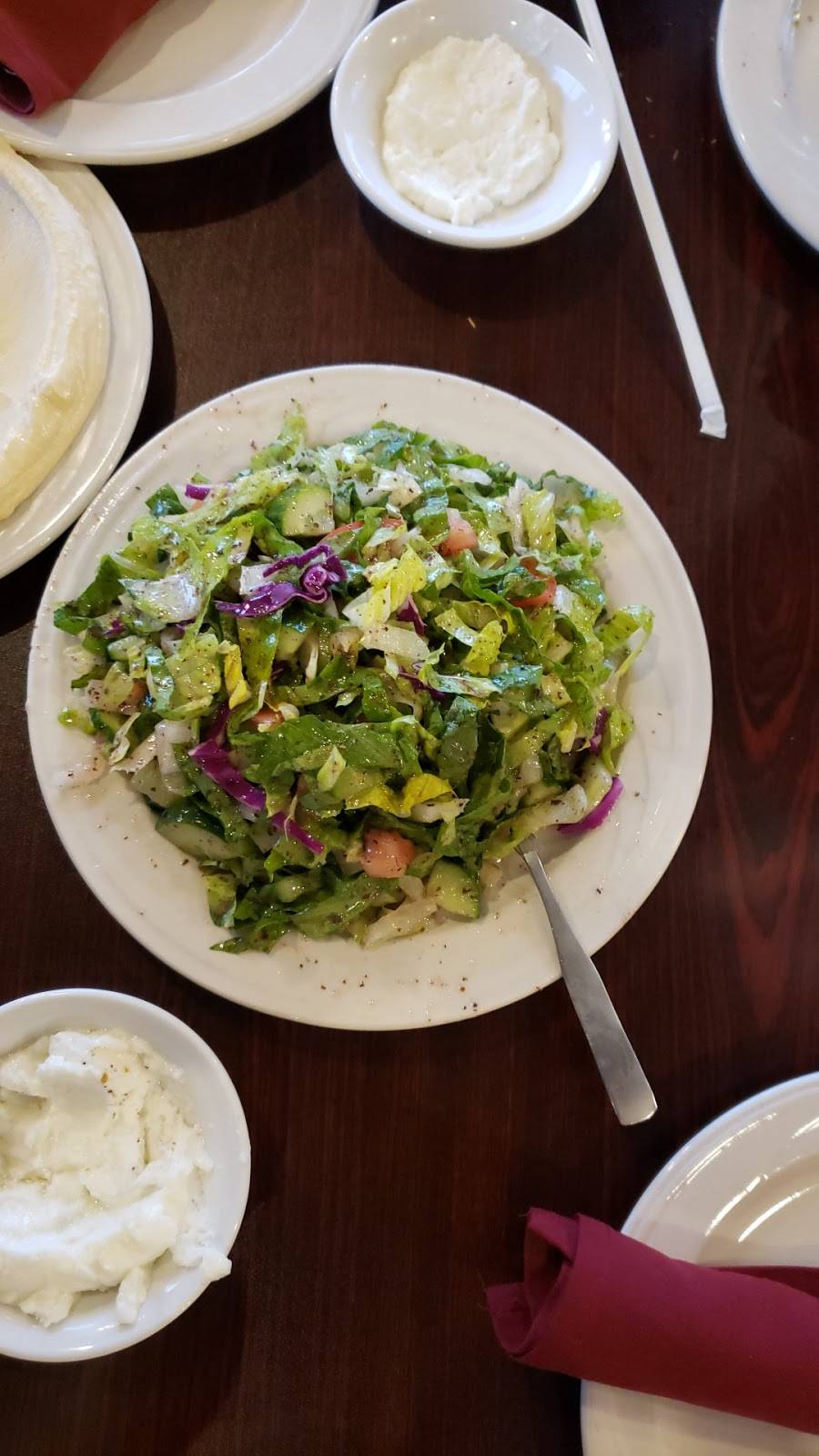 Tasty Kabob | restaurant | 8207 N Middlebelt Rd, Westland, MI 48185, USA | 7344214084 OR +1 734-421-4084