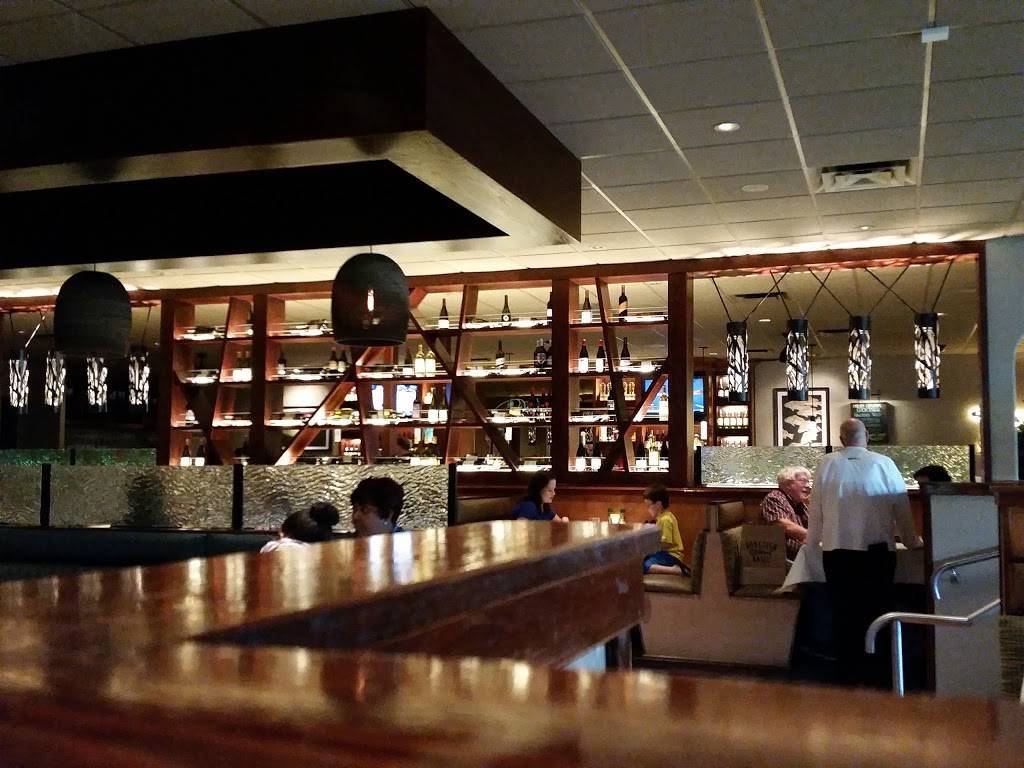 Bonefish Grill | restaurant | 3665 Henderson Blvd, Tampa, FL 33609, USA | 8138763535 OR +1 813-876-3535