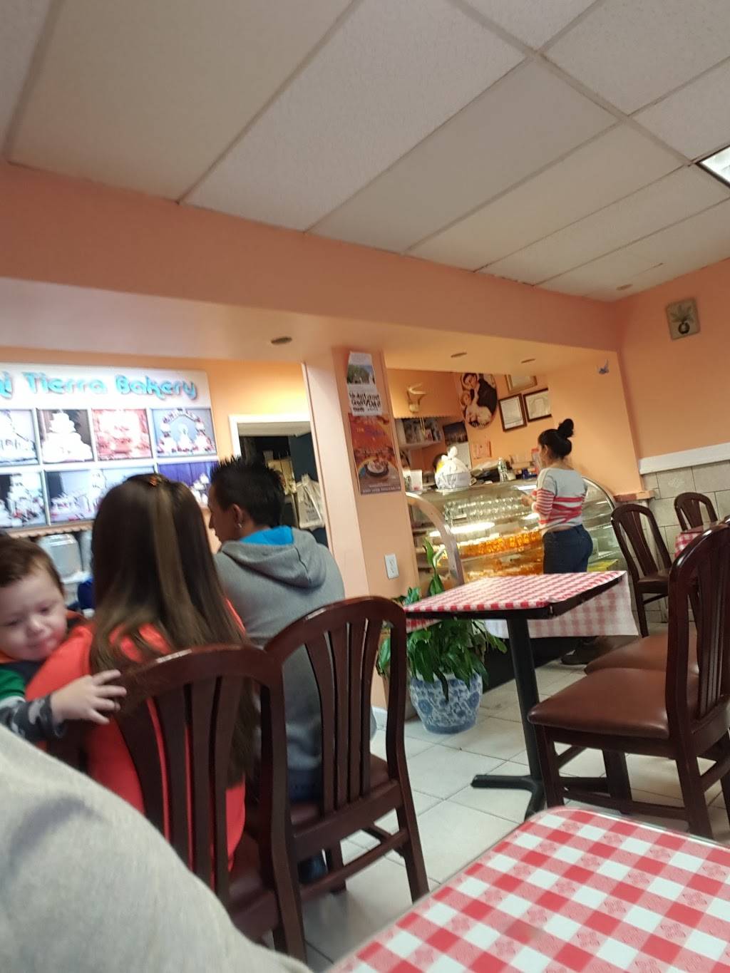 Gloria Honduras Restaurant | bakery | 219 Post Ave, Westbury, NY 11590, USA | 5163381019 OR +1 516-338-1019