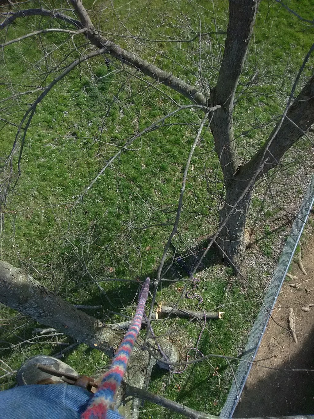 Crazy Horse | restaurant | 28 S Main St, Ellsworth, PA 15314, USA | 7242393749 OR +1 724-239-3749