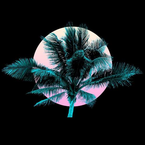 Venice Beach Pizza, Wings & Shawarma | restaurant | 801 Mohawk Rd W Unit #2, Hamilton, ON L9C 6C2, Canada | 9055389001 OR +1 905-538-9001