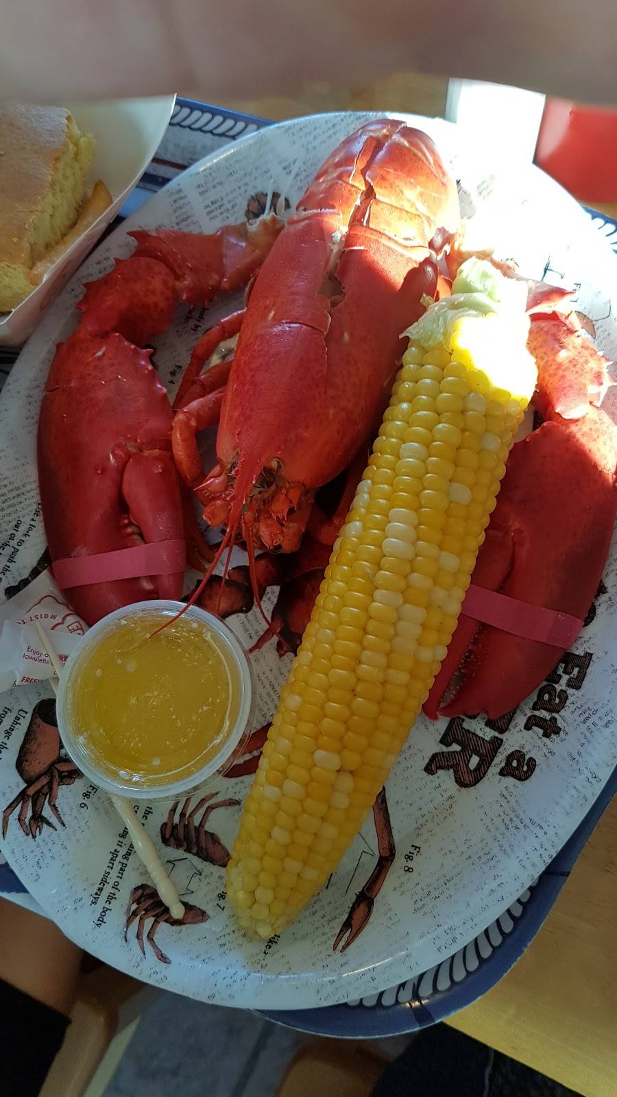 McLaughlins Lobster Shack | restaurant | 12 McKay Rd, Lincolnville, ME 04849, USA | 2077895205 OR +1 207-789-5205