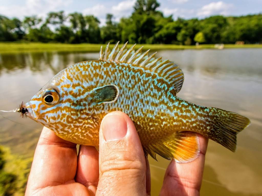 Harpeth Village Fieldstone | shopping mall | 2020 Fieldstone Pkwy, Franklin, TN 37069, USA | 4045753200 OR +1 404-575-3200