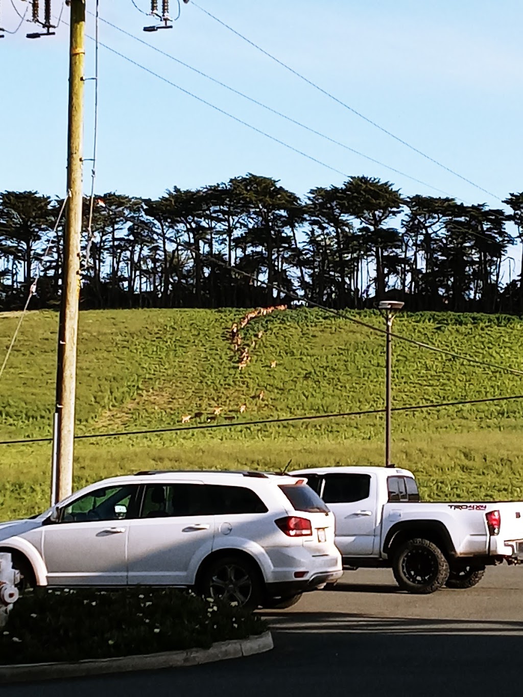 The River Grill | restaurant | 22215 Windy Hollow Rd, Point Arena, CA 95468, USA | 7074675320 OR +1 707-467-5320