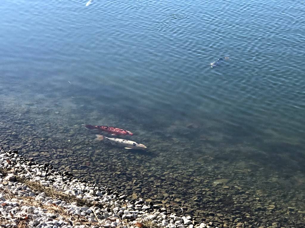 Antelope Valley Country Club | night club | 39800 Country Club Dr, Palmdale, CA 93551, USA | 6619473142 OR +1 661-947-3142