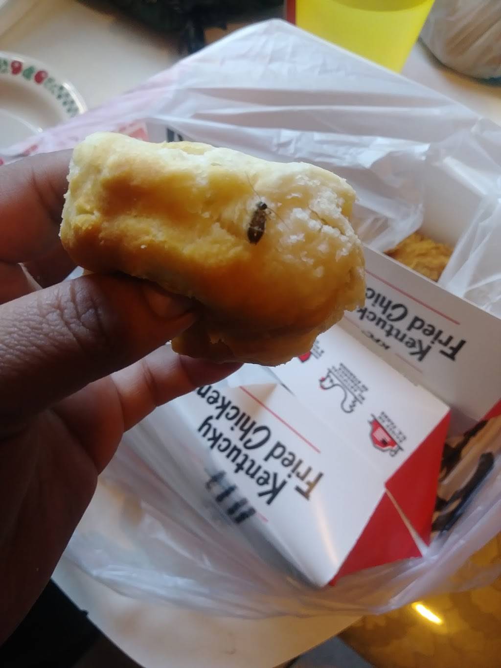 KFC | restaurant | 10120 W Warren Ave, Dearborn, MI 48126, USA | 3138463981 OR +1 313-846-3981