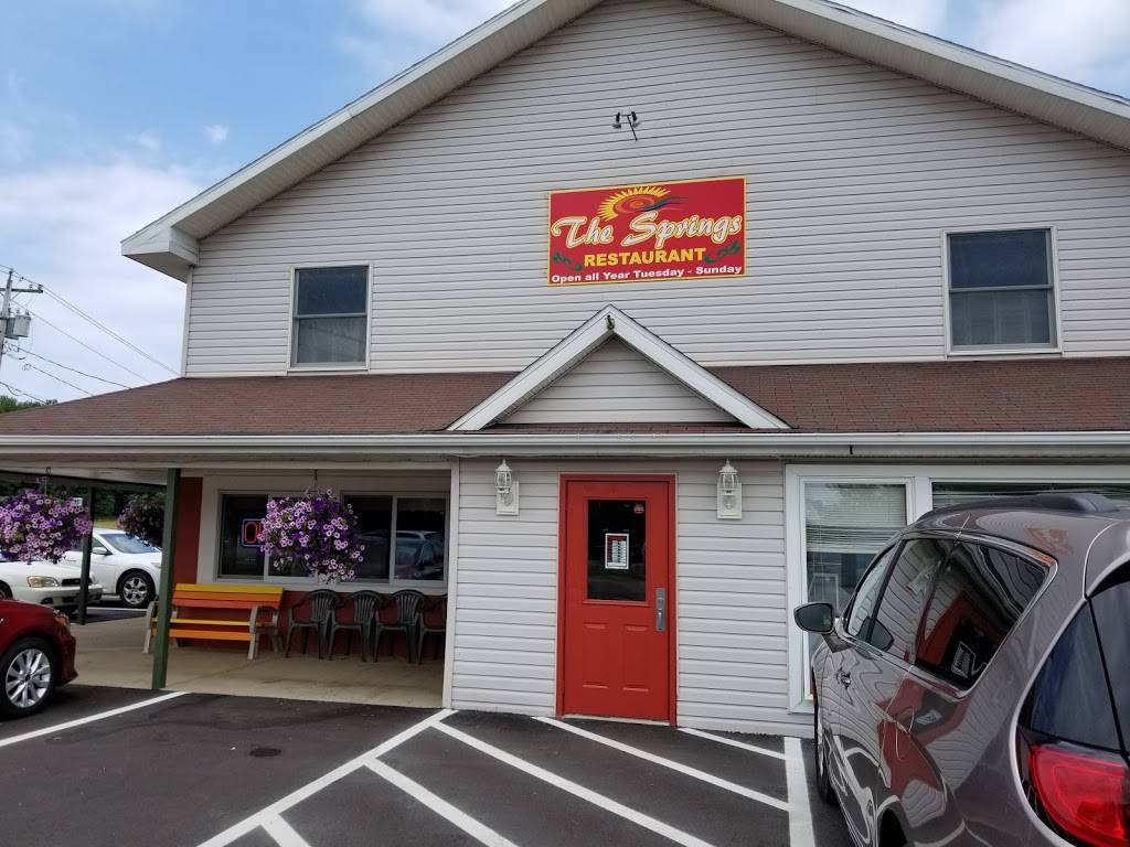 Springs | restaurant | 4860 NY-430, Bemus Point, NY 14712, USA | 7163864093 OR +1 716-386-4093