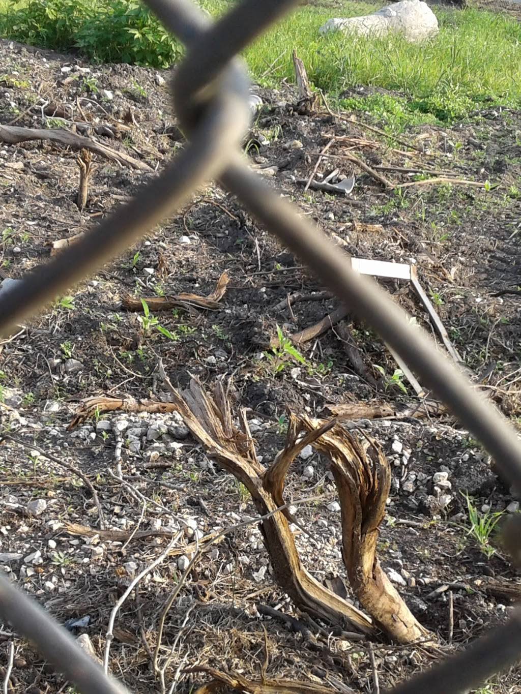 Carmelitas Mexican Restaurant | restaurant | 2218 Broadway St, San Antonio, TX 78215, USA | 2102245540 OR +1 210-224-5540