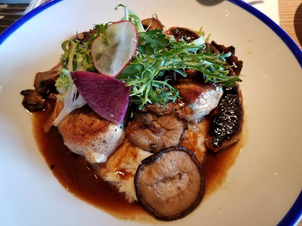 Noble Crust Of Carrollwood | restaurant | 11618 N Dale Mabry Hwy, Tampa, FL 33618, USA | 8134630193 OR +1 813-463-0193