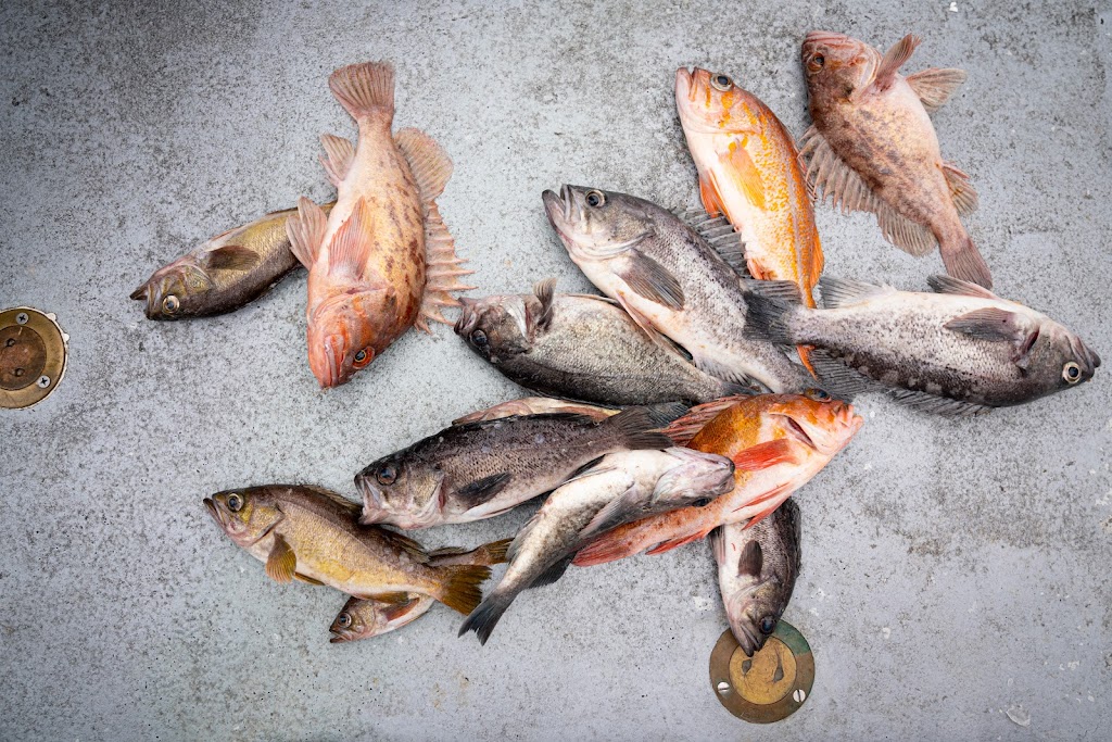 Pacific Pearl Charters | restaurant | 3310 Powell St, Emeryville, CA 94608, USA | 5106523403 OR +1 510-652-3403