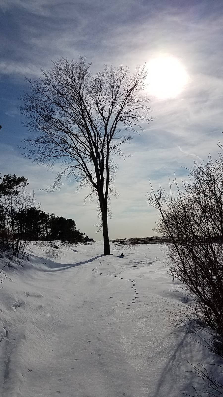 Bailey Island Lobster Co. | restaurant | 51 Abner Point Rd, Bailey Island, ME 04003, USA | 2078336099 OR +1 207-833-6099