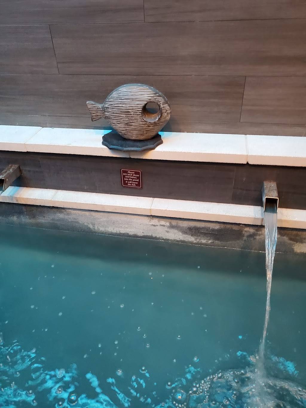 Kobe Japanese Steakhouse - St Petersburg | restaurant | 2773 66th St N, St. Petersburg, FL 33710, USA | 7272730018 OR +1 727-273-0018