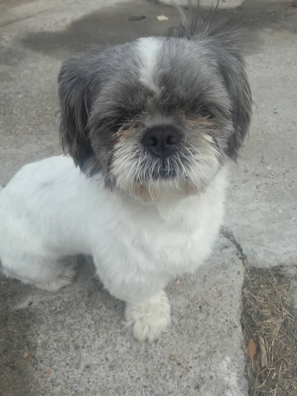 Taqueria Sahvayo | restaurant | 2915 Market St, Baytown, TX 77520, USA | 8325562000 OR +1 832-556-2000