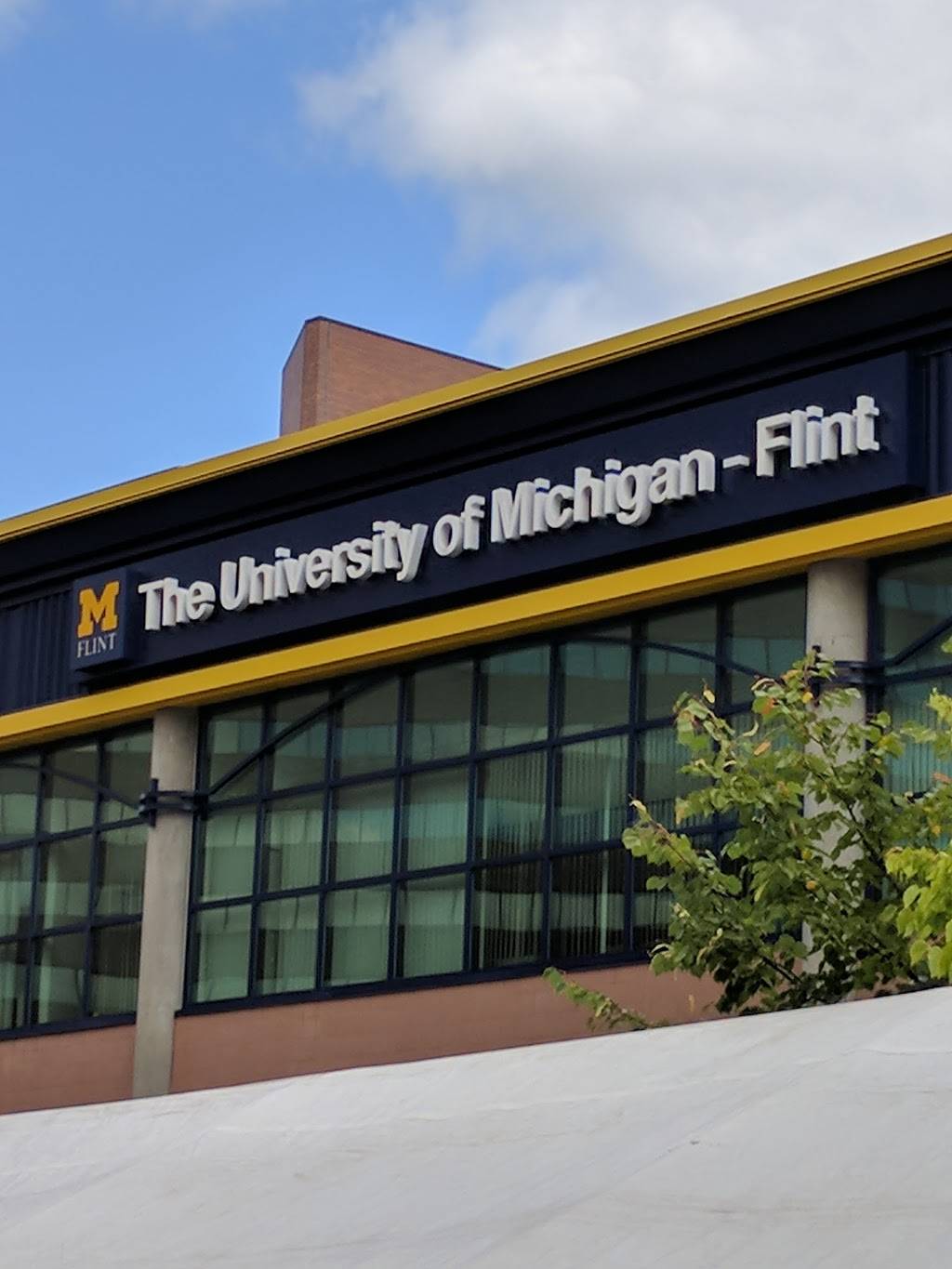 Subway | restaurant | 303 Saginaw St, Flint, MI 48502, USA | 8107670965 OR +1 810-767-0965