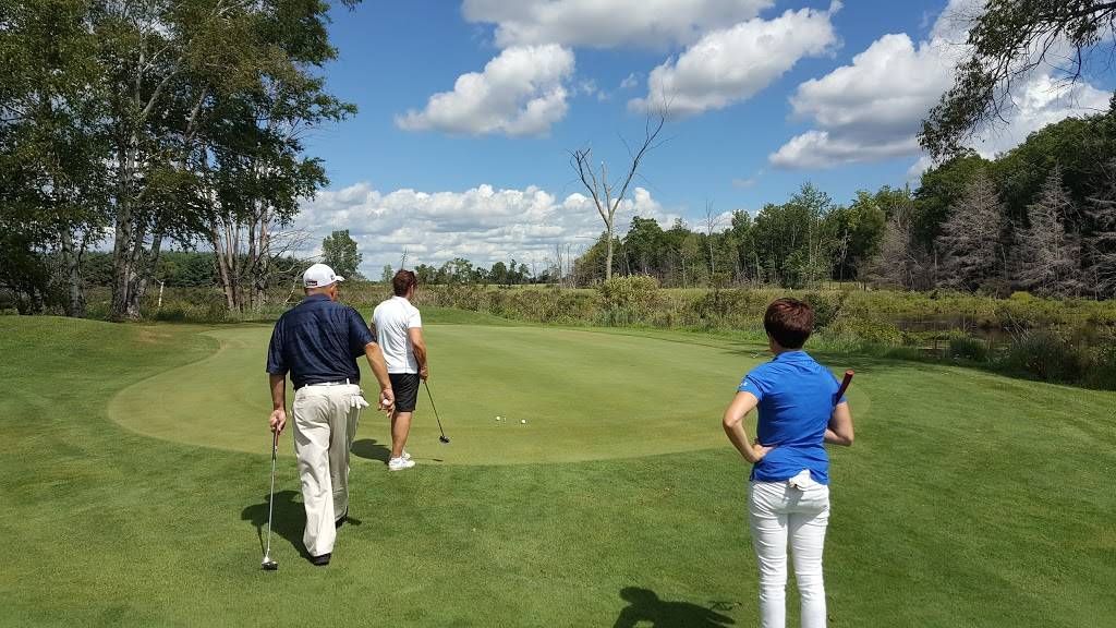 Clear Lake Golf Club | restaurant | 14777 150th Ave, Big Rapids, MI 49307, USA | 2317968200 OR +1 231-796-8200