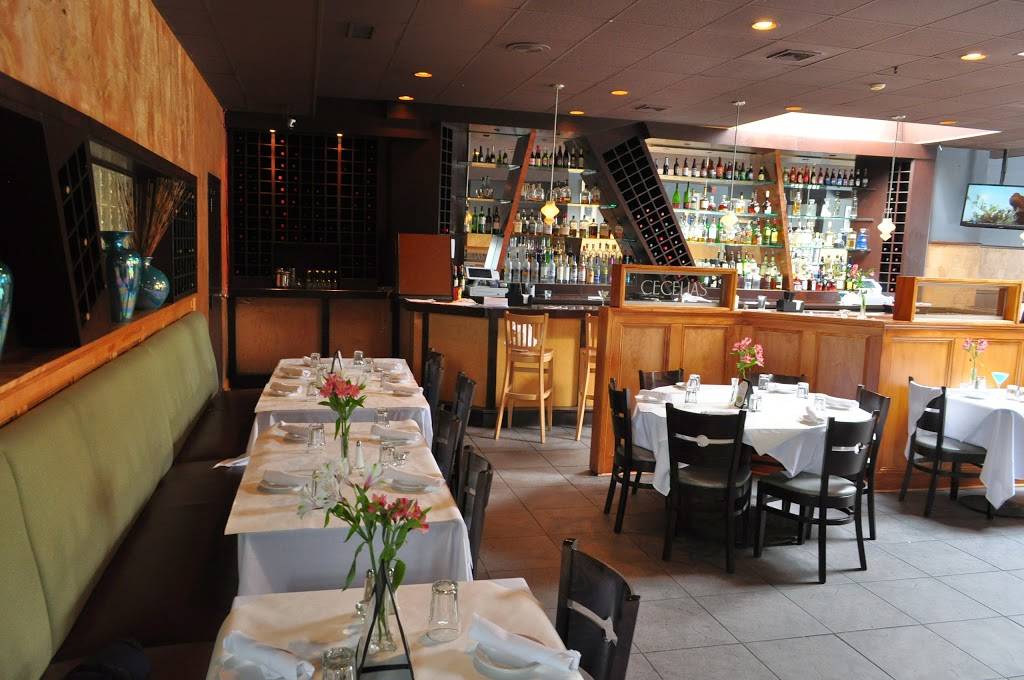 Cecelias Ristorante & Martini Bar | restaurant | 716 Elmwood Ave, Buffalo, NY 14222, USA | 7168838066 OR +1 716-883-8066