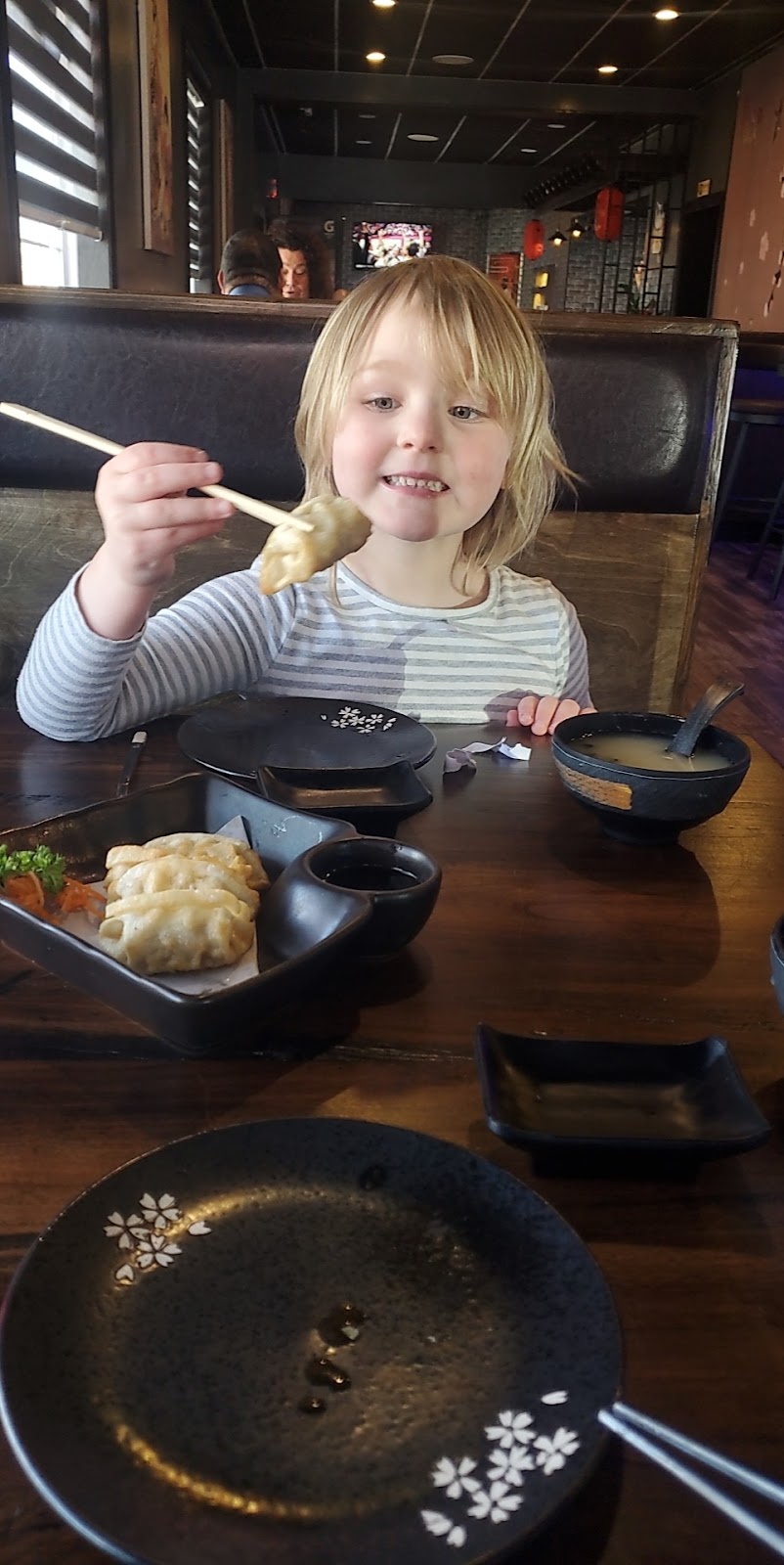 Sakura KJ | restaurant | 204 S Main St, Crown Point, IN 46307, USA | 2193332999 OR +1 219-333-2999