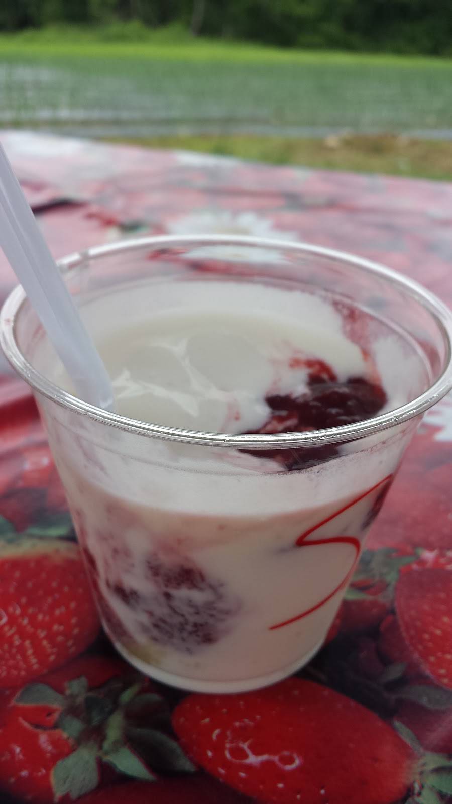 Family Roots Farm | restaurant | 245 Hervey Ln, Wellsburg, WV 26070, USA | 3042660402 OR +1 304-266-0402