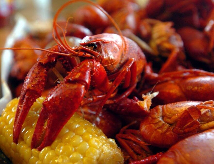 Crawfish Ranch | restaurant | 24913 I-10, Wallisville, TX 77597, USA | 7134714647 OR +1 713-471-4647