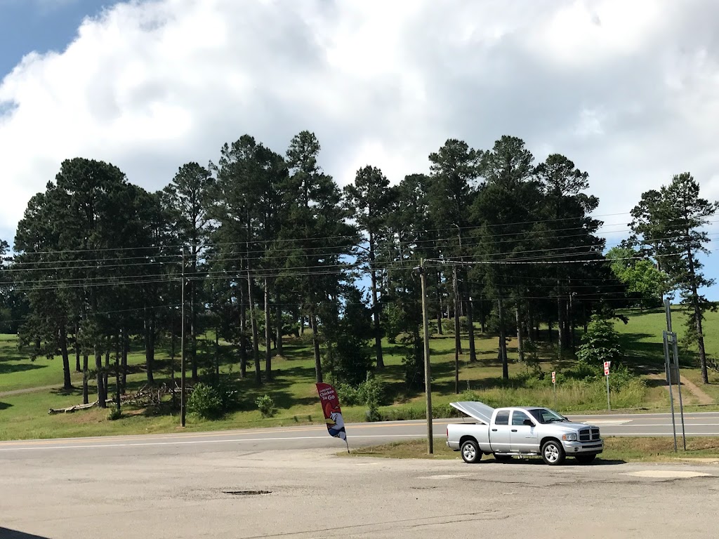 Pizza Pro | restaurant | 109 AR-28, Ola, AR 72853, USA | 4794895310 OR +1 479-489-5310